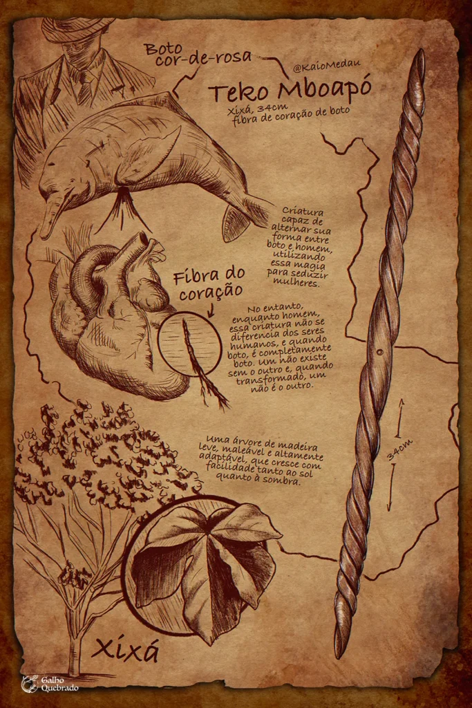 Pergaminho com as informações de criação da varinha mágica brasileira Teko Mboapó